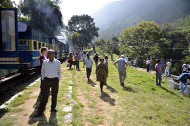 Nilgiri-Blue-Mountain-Train, Mettupalayam - Coonoor_DSC5426_H600